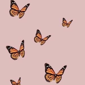 Meet your Posher, Hallie